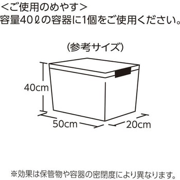 100gx2個 乾燥剤・シリカゲル エスコ