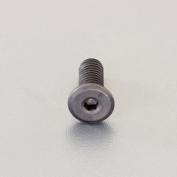 M8 x10mm 六角穴付ボルト(超低頭/クロメート/2本) エスコ