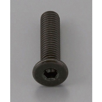 M8 x10mm 六角穴付ボルト(超低頭/クロメート/2本) エスコ