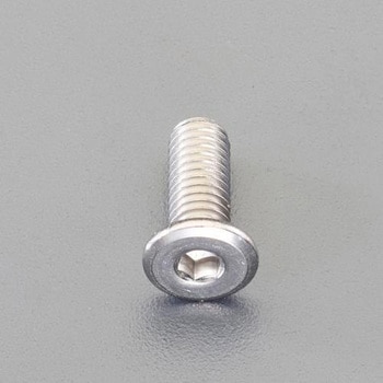 M5 x12mm 六角穴付ボルト(超低頭/ステンレス/2本) エスコ