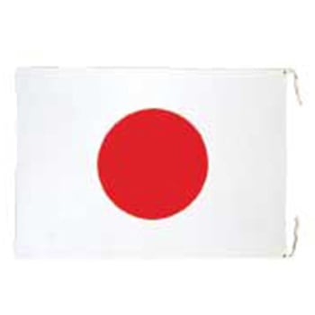 900x 700mm 国旗(綿) エスコ
