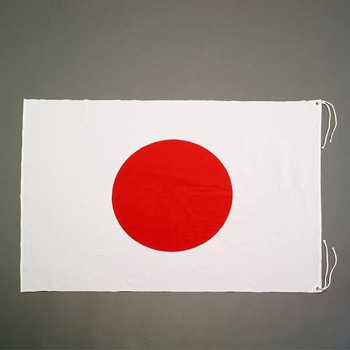 1300x 900mm 国旗(綿) エスコ