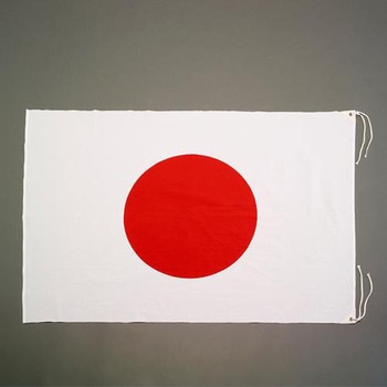 1500x1030mm 国旗(綿) エスコ