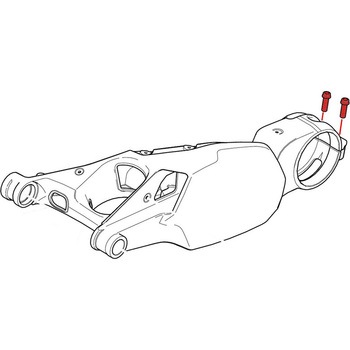 Rear Hub Swingarm Pinch Bolt (2 pcs) - TITANIUM Titanium CNC Racing (シーエヌシーレーシング)