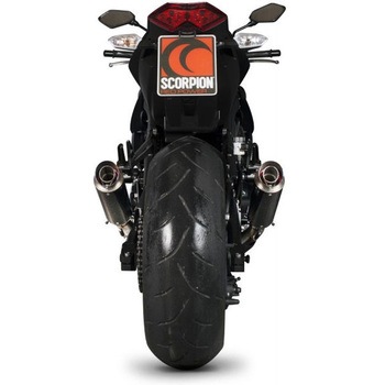 RP1-GP スリップオン (ペア) カーボンファイバースリーブ eマーク Kawasaki Z 1000 10-13 2010 - 20 Scorpion (スコーピオン)