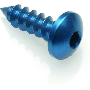 SELF TAPPING SCREW 002 D=4，5X13 ERGAL LIGHTECH (ライテック)