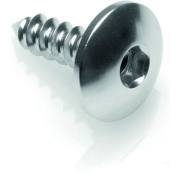 SELF TAPPING SCREW 003 D=5，5X19 ERGAL LIGHTECH (ライテック)