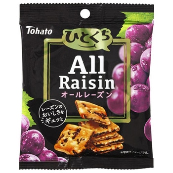 東ハト ひとくち オールレーズン 45g x 12 東ハト