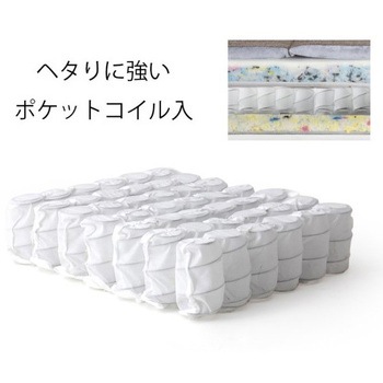 カウチソファー NAP セルタン