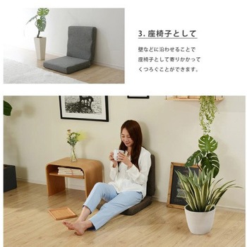 3WAYフロアクッション セルタン