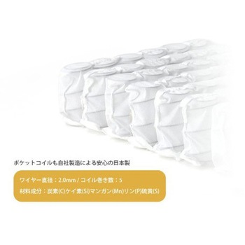 ポケットコイル搭載 頭部リクライニング座椅子 セルタン