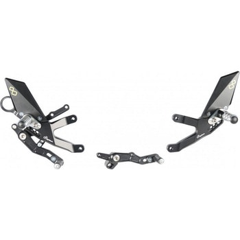 アジャスタブルリアセットS WITH FOLD UP フットペグ BMW S1000RR (15-17) + S 1000 R (17) LIGHTECH (ライテック)