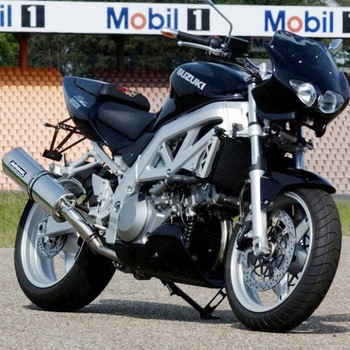 オーバル 1MK ボルトオンマフラー (キャタライザーあり)  EC approved ステンレス for SV1000/S (03-) BODIS (ボディス)