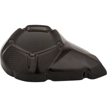 カーボン エレクトリックカバー LIGHTECH (ライテック)