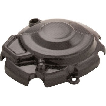 カーボン エレクトリックカバー LIGHTECH (ライテック)