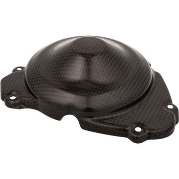 カーボン エレクトリックカバー LIGHTECH (ライテック)