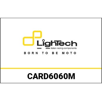 スイングアームプロテクター Ducati Streetfighter 848 (11-15) / 1100 (11-13) - マット LIGHTECH (ライテック)