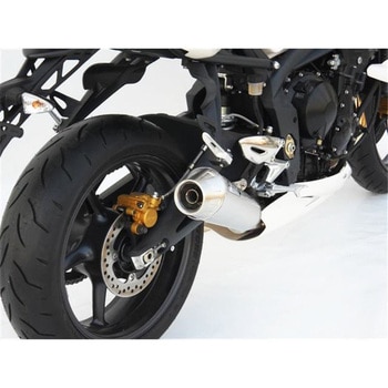 ステンレススチール スリップオン TRIUMPH STREET TRIPLE 675 - ZARD (ザード)