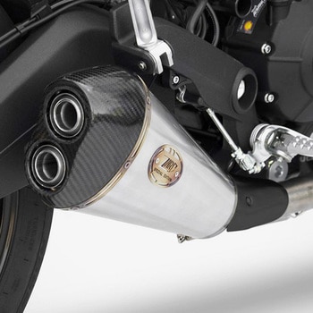 ステンレススチール レーシング スリップオン DUCATI MONSTER 797 (2017-2019) ZARD (ザード)