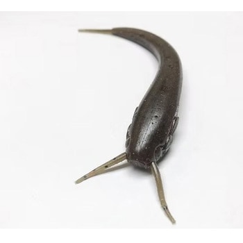 ニシネナマズ 4 Nishine Lure Works(ニシネルアーワークス)