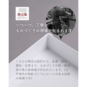 隙間収納 10cm 完成品 組み立て不要 奥深 頑丈 be worth style(ビーワーススタイル)