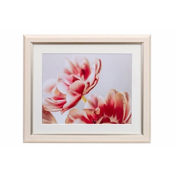 樹脂製フレーム グレイスメロウMiu(ミウ) 六切 Kenko(ケンコートキナー)