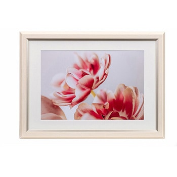 樹脂製フレーム グレイスメロウMiu(ミウ) A4・ワイド六切/B4兼用 Kenko(ケンコートキナー)