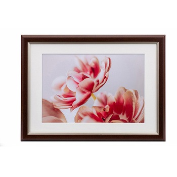 樹脂製フレーム グレイスメロウMiu(ミウ) A4・ワイド六切/B4兼用 Kenko(ケンコートキナー)