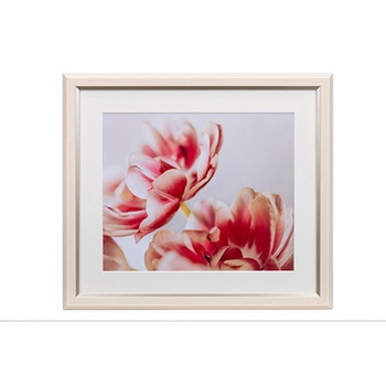 樹脂製フレーム グレイスメロウMiu(ミウ) 四切 Kenko(ケンコートキナー)