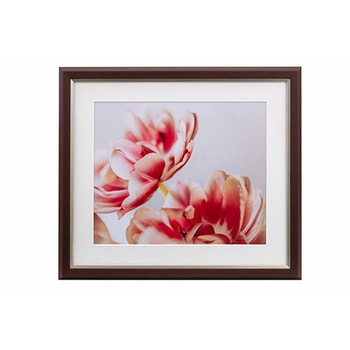 樹脂製フレーム グレイスメロウMiu(ミウ) 四切 Kenko(ケンコートキナー)