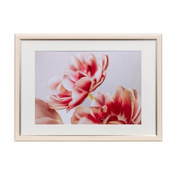 樹脂製フレーム グレイスメロウMiu(ミウ) A3/B3兼用 Kenko(ケンコートキナー)