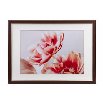 樹脂製フレーム グレイスメロウMiu(ミウ) A3/B3兼用 Kenko(ケンコートキナー)