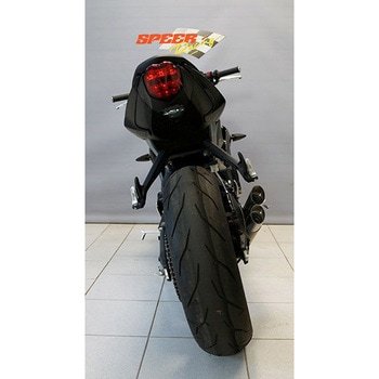 スリップオン DUOBOLICO-UE， Titan， Catalyzer : Original， EU Homologated BODIS (ボディス)