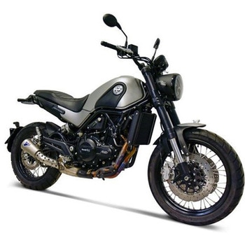スリップオン GP2R-R+リンク+ヒートシールド ステンレス ステンレススリーブ Termignoni (テルミニョーニ)
