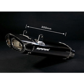 スリップオン オーバル Q5， Stainless Steel， Catalyzer : Original， EU Homologated BODIS (ボディス)
