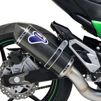 スリップオン ステンレス KAWASAKI Z800 (2013-2017) Termignoni (テルミニョーニ)