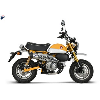 スリップオン ステンレス， スリーブ: STAINELSS STEEL Termignoni (テルミニョーニ)