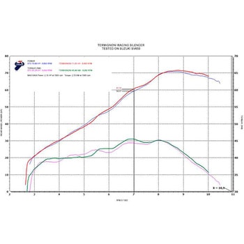 スリップオン ステンレスEU規格 SUZUKI SV 650 (2016-2019) Termignoni (テルミニョーニ)