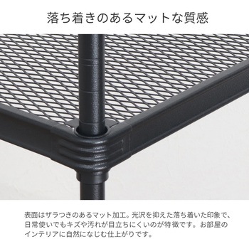 エキスパンドラック4段×2個セット AIS (エイ・アイ・エス)