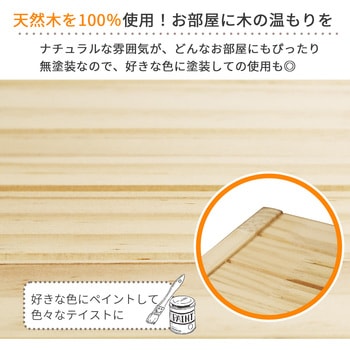 パインラック4段60 AIS (エイ・アイ・エス)