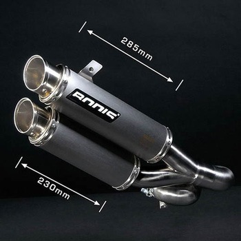 スリップオンマフラー ステンレス グラウンド GPX2 FZ1(2006-) BODIS (ボディス)