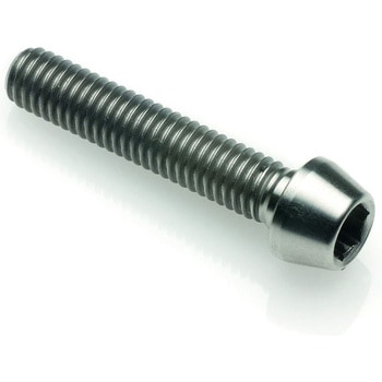 ソケットヘッド TIT. G.5 CL 001 M10 X 1，50 L. 10 LIGHTECH (ライテック)