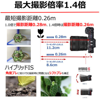 RFレンズ RF100mm F2.8 L マクロ IS USM Canon
