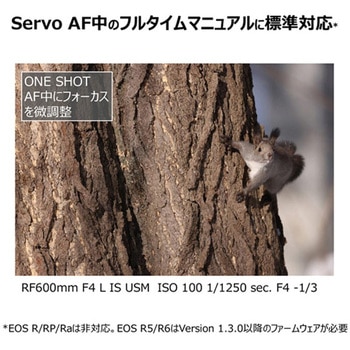 RFレンズ RF600mm F4 L IS USM Canon