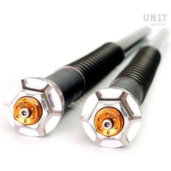 フォークカートリッジs for Thruxton 900 | 105-T01E UnitGarage (ユニットガレージ)