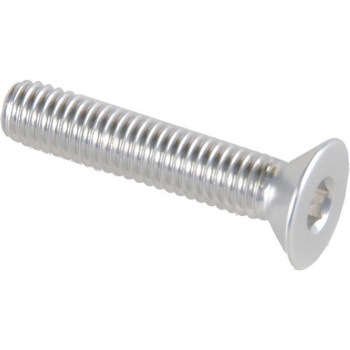 フラットヘッド ERGAL CL 005 M6 L. 25 - LIGHTECH (ライテック)