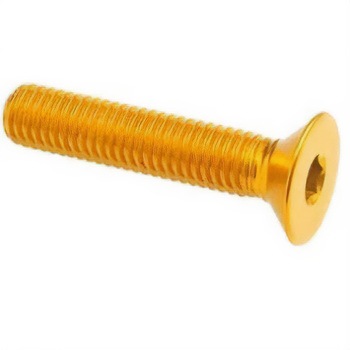 フラットヘッド ERGAL CL 005 M6 L. 55 LIGHTECH (ライテック)