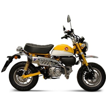 フルシステムコレクター+サイレンサー ステンレス ステンレススリーブ - Termignoni (テルミニョーニ)