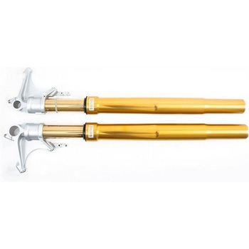 フロントサスペンション Ohlins (オーリンズ) R nineT Gold | COD. FGRT226 UnitGarage (ユニットガレージ)