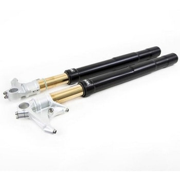 フロントサスペンション Ohlins (オーリンズ) R nineT ブラック | COD. FGRT216 - UnitGarage (ユニットガレージ)
